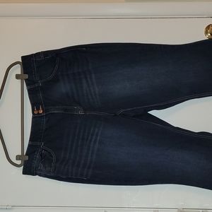 Women’s Lane Bryant Boot Cut Jeans Blue 24